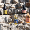 Villa Alvor: Fresh Wines from the Algarve’s Historic Terroir